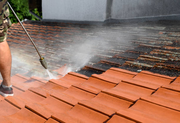 Best Roof Pressure Washing  in Flint Hill, MO